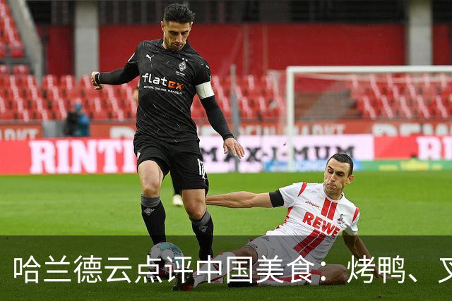 哈兰德云点评中国美食：烤鸭、叉烧、宫保鸡丁、肠粉、西红柿炒蛋